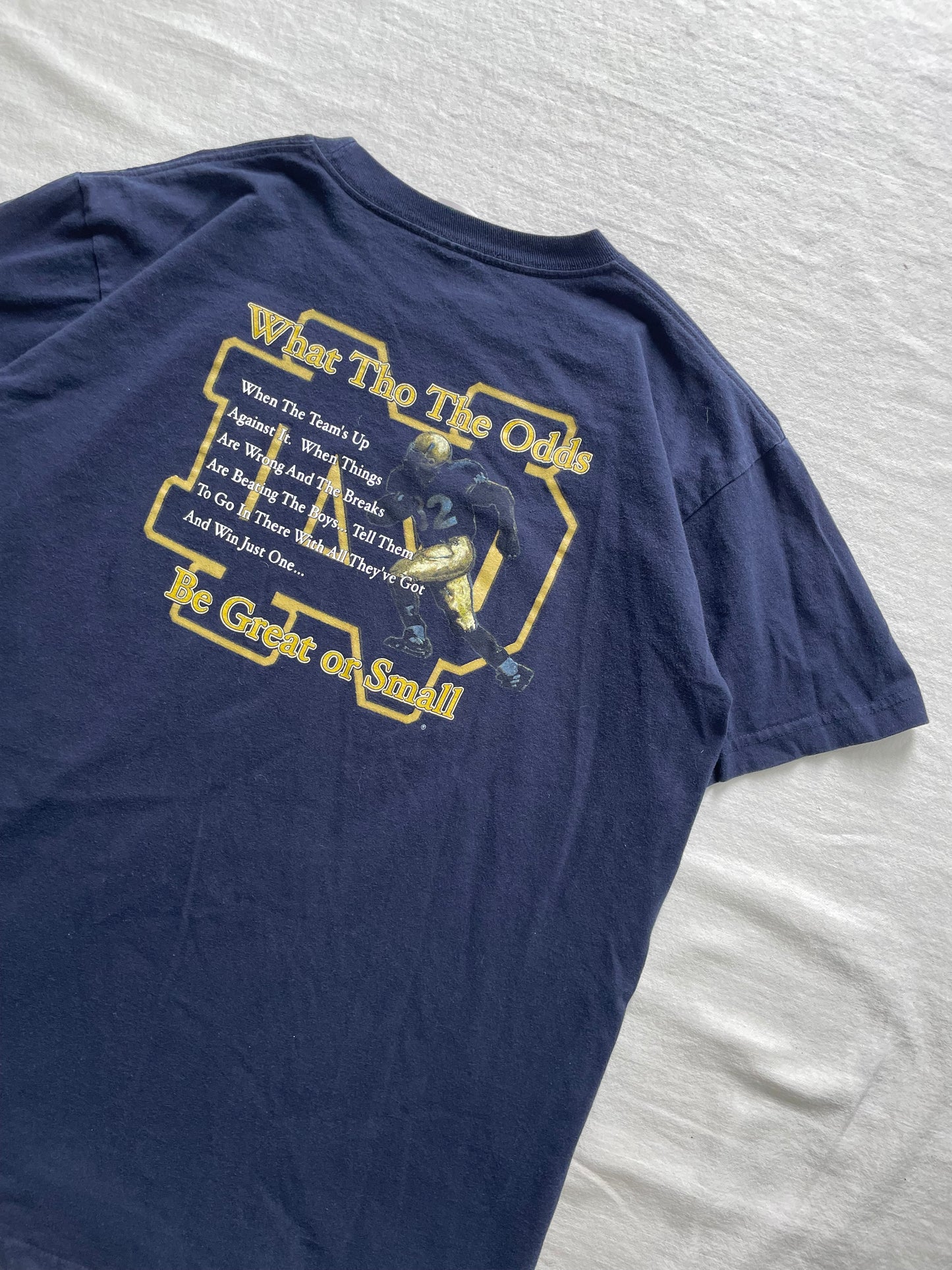 Vintage 2001 Notre Dame “The Shirt” Large