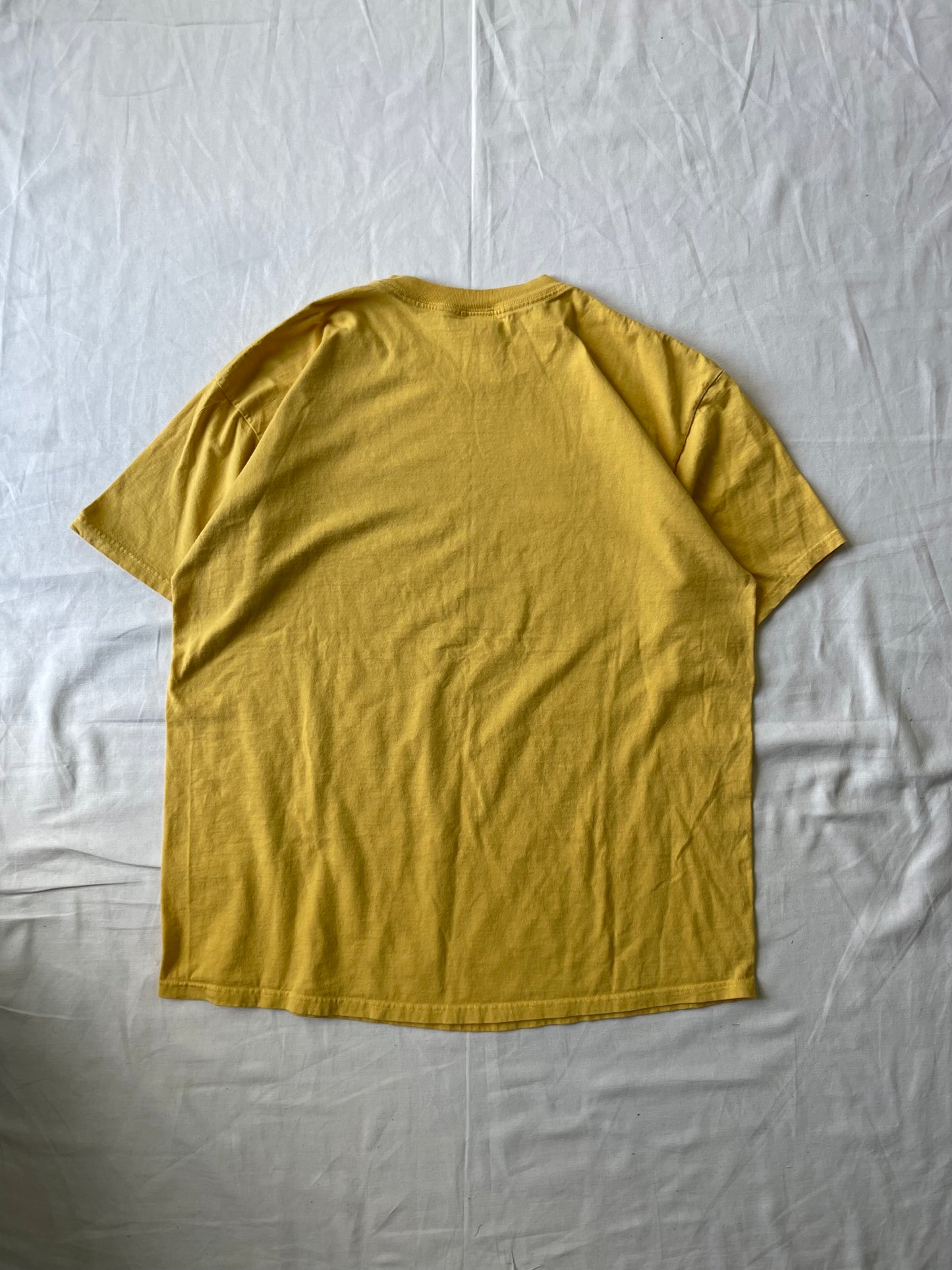 Vintage Notre Dame Irish Tee 2XL