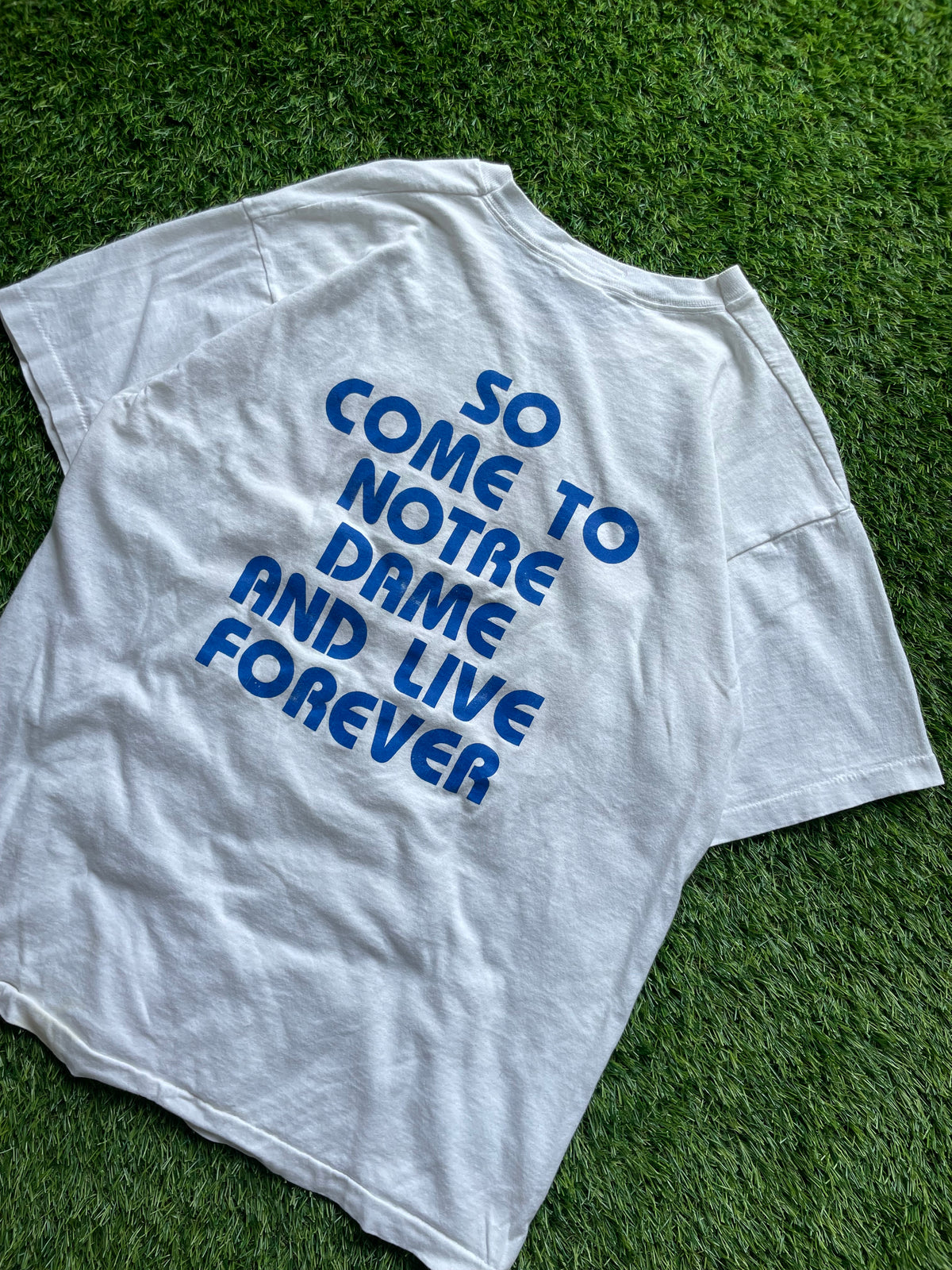 Vintage Notre Dame Sex Kills So Come To Notre Dame And Live Forever Tee XLarge